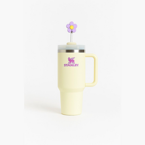 TERMO STANLEY 30onz (887ML)